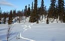 Norwegen - Schneeschuhwandern in winterlicher Weite